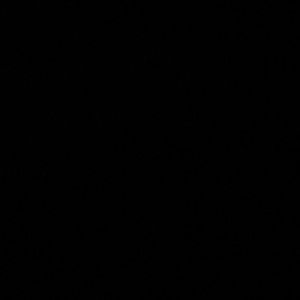 Meet your Posher, Chaneice